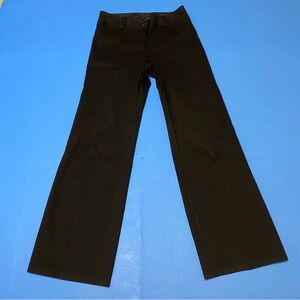 Express pants size large